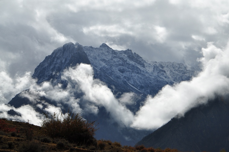 DSC_0833.jpg