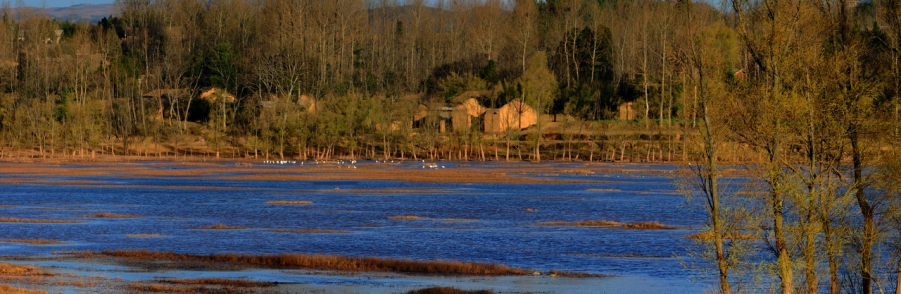 _DSC0078 Panoramann.jpg
