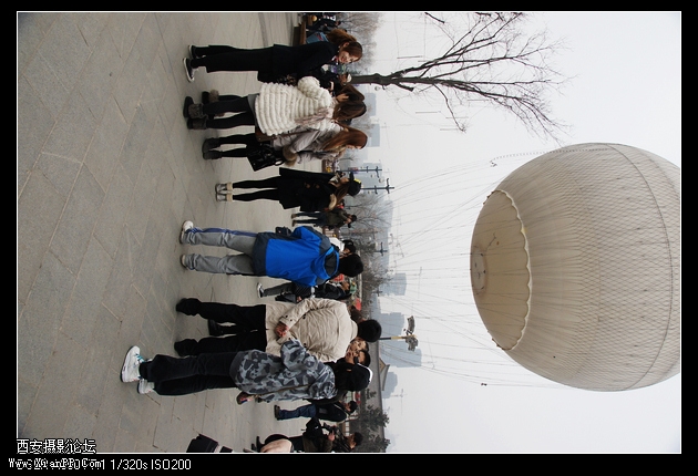 DSC07362.jpg
