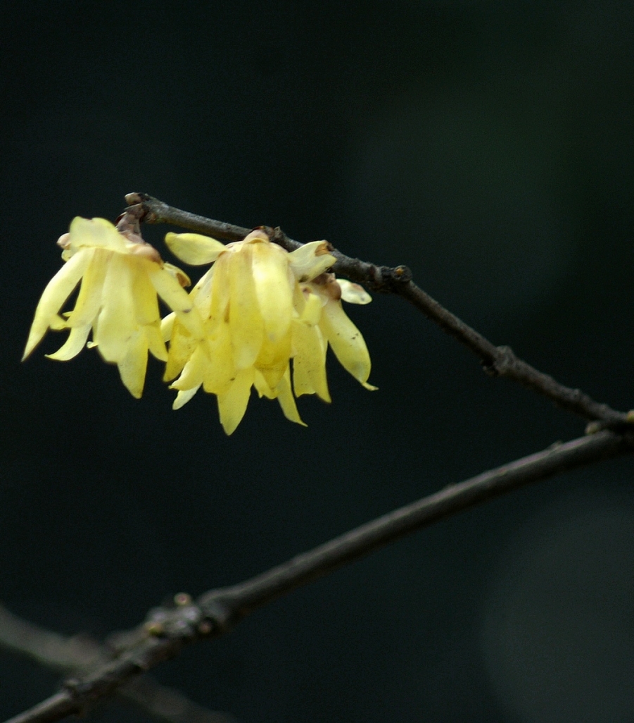 PICT0545.JPG