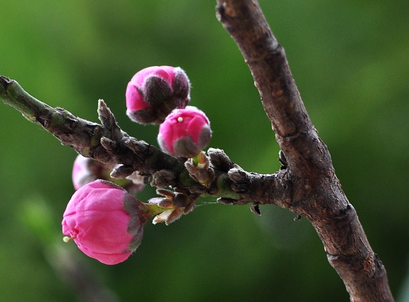 DSC_0157.jpg
