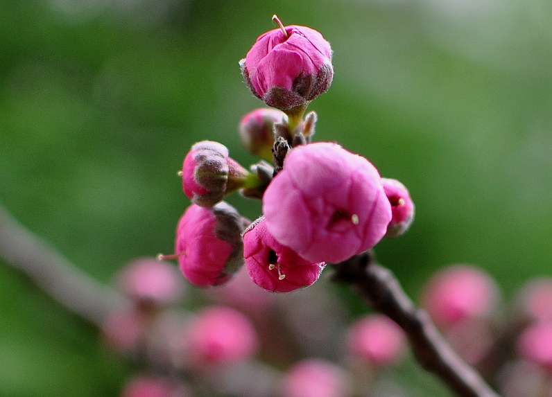 DSC_0185.jpg