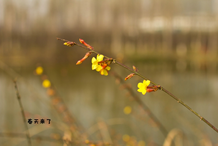 IMG_5584_副本.jpg