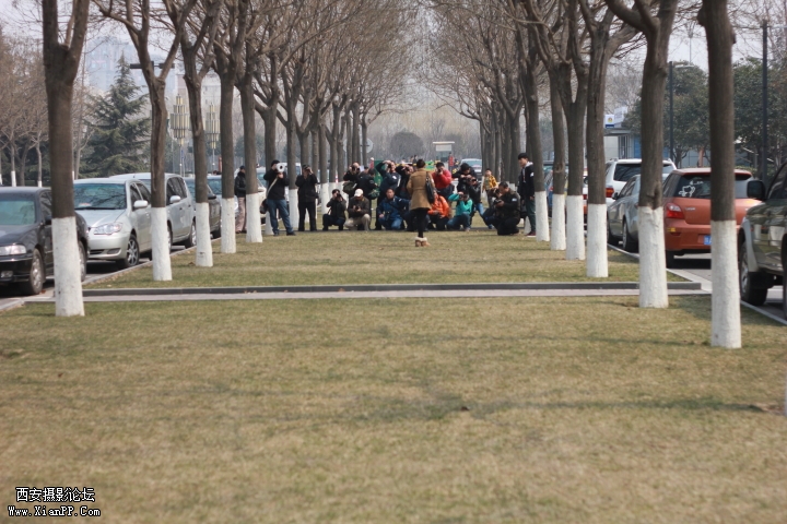 DPP_010702.JPG