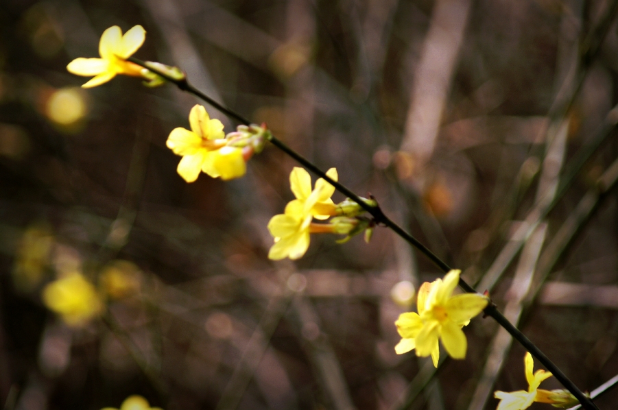 PICT0699.JPG