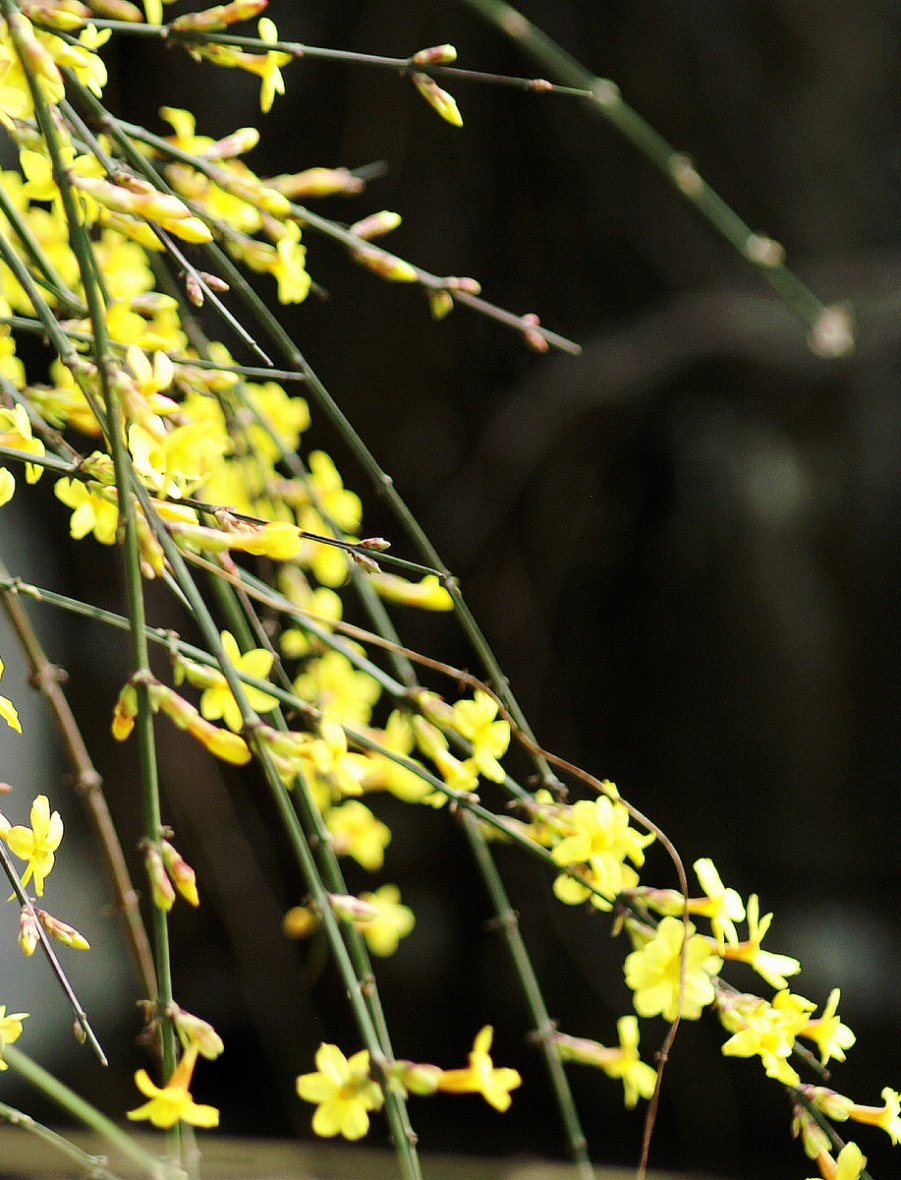 PICT0707.JPG