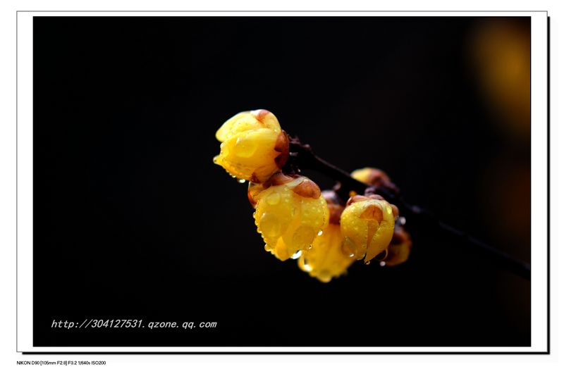 DSC_0555_014.jpg