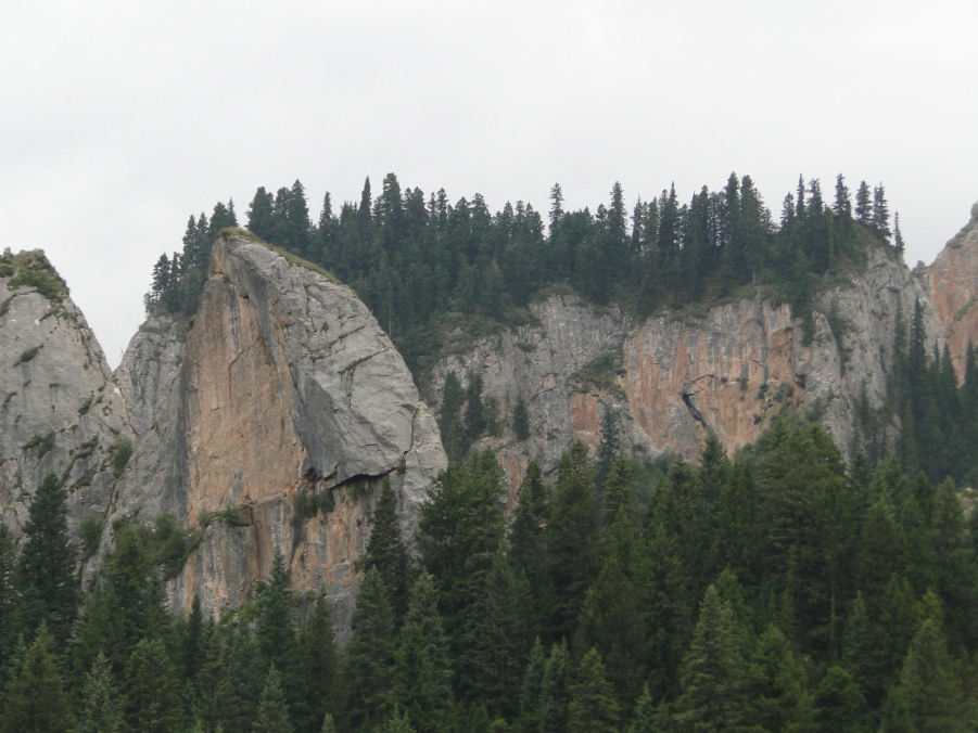 DSC01753.JPG