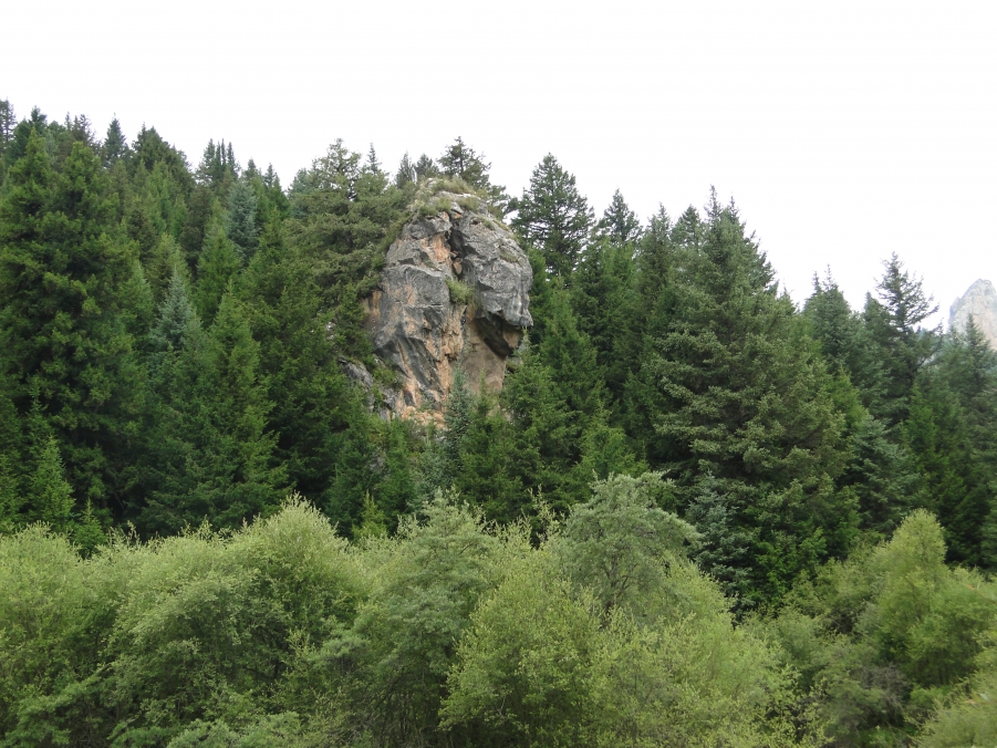 DSC01755.JPG
