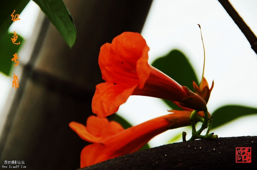 DSC058231.jpg