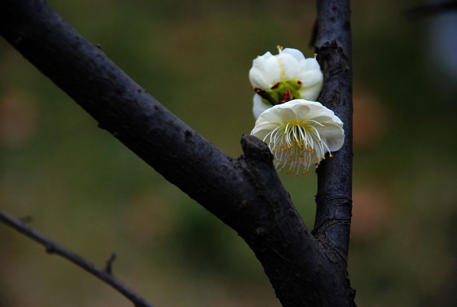 DSC_0765.JPG