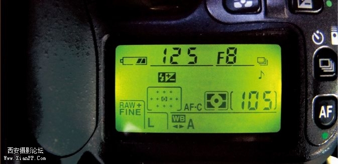 dg-2.jpg