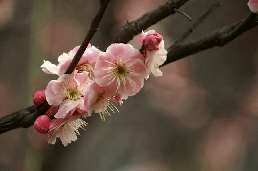 PICT0764.JPG