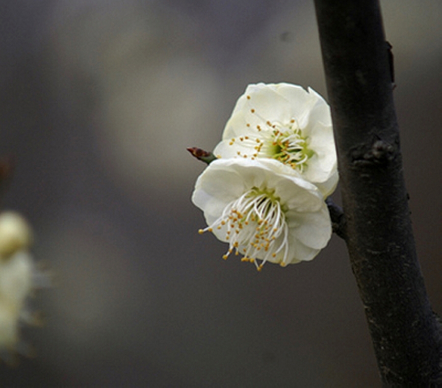 PICT0898.JPG