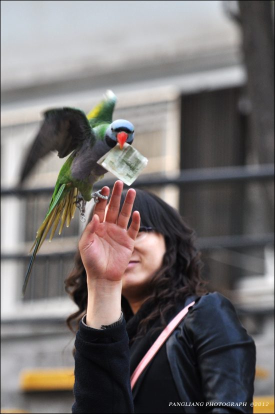 DSC_0264.jpg