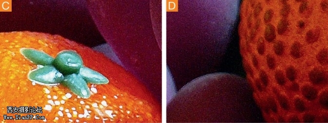 P131-3-673x253.jpg
