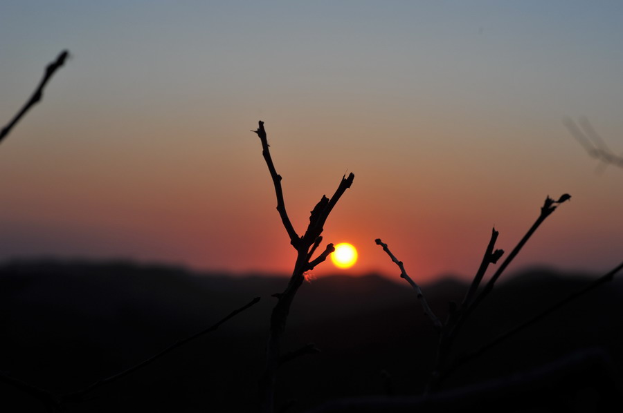 DSC_2878.jpg