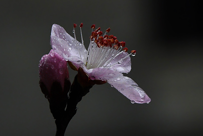 _DSC6495 复制.jpg