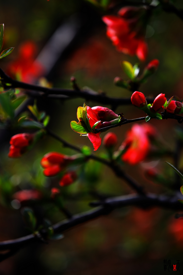 IMG_0703_up.jpg