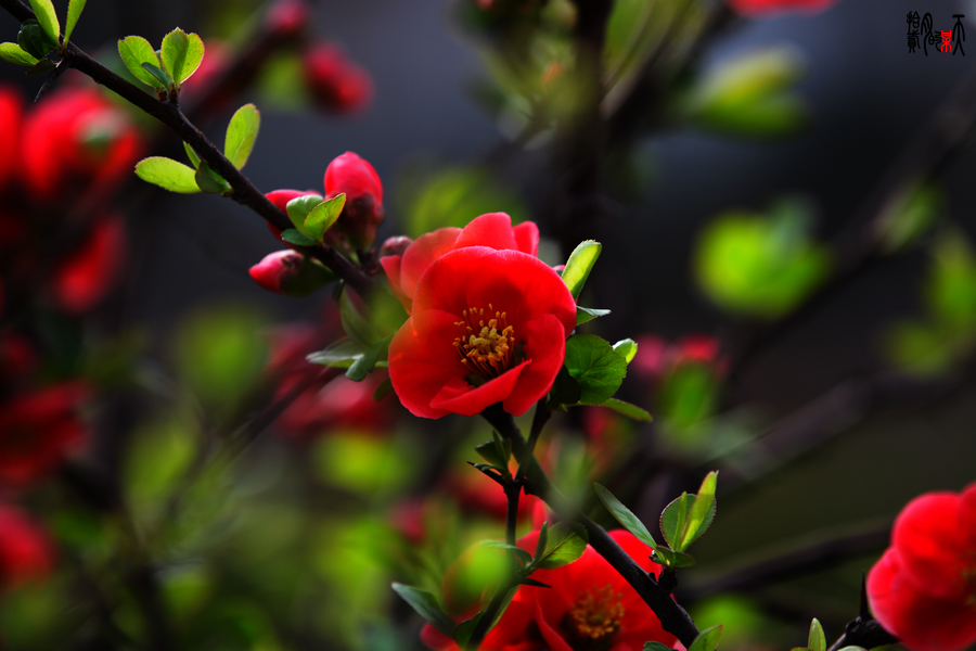 IMG_0742_up.jpg