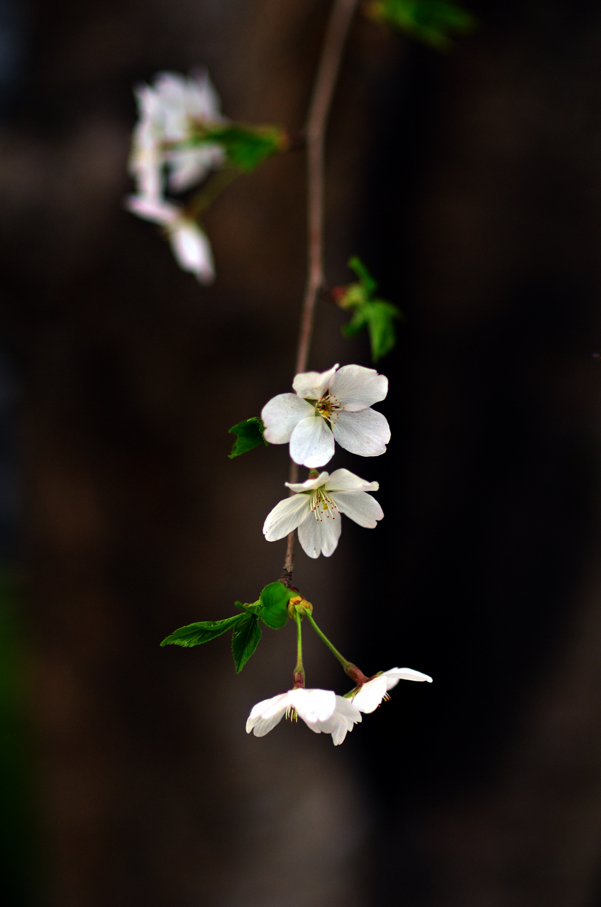 20120329 023.jpg