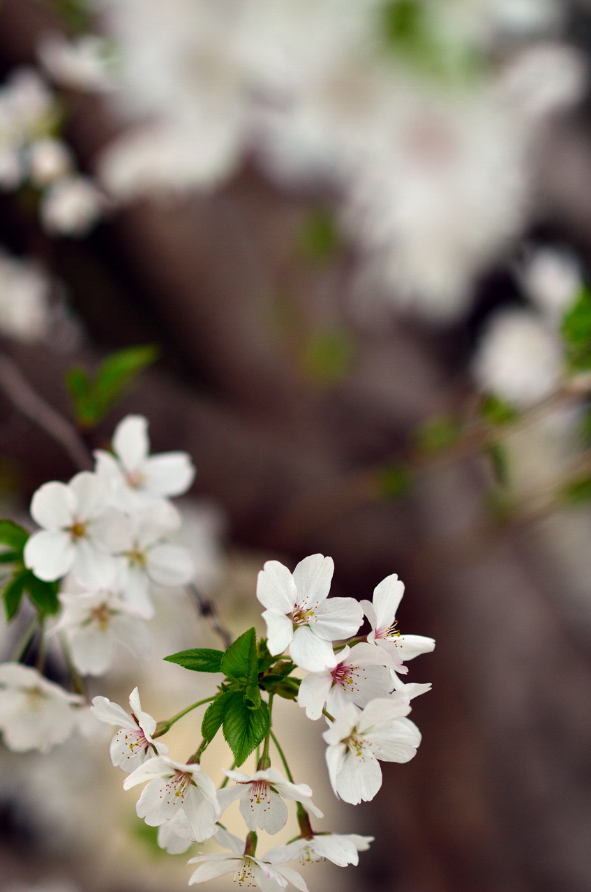 20120329 026.jpg