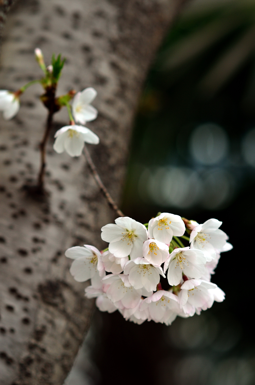 20120329 092.jpg