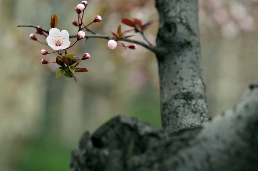 20120329 117.jpg