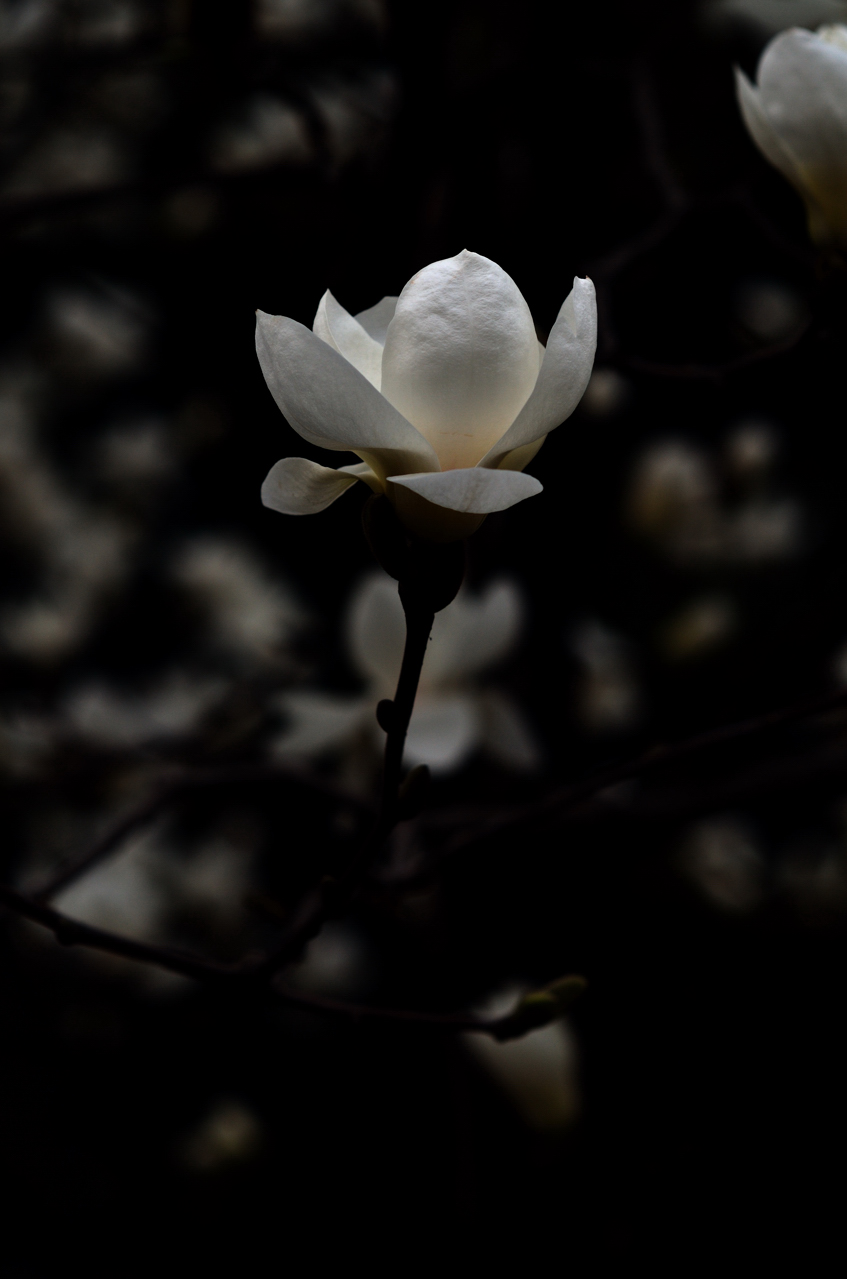 20120329 144.jpg