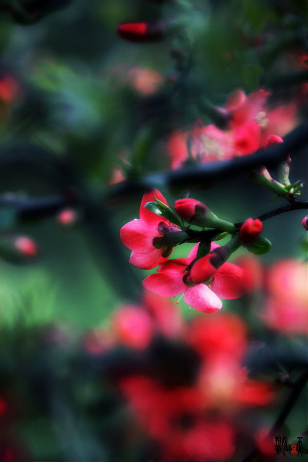 IMG_0701_up.jpg