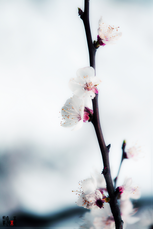 IMG_0748_up.jpg