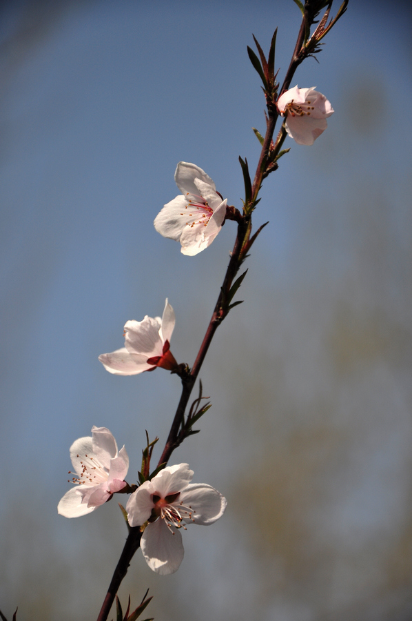 DSC_0149xz.jpg