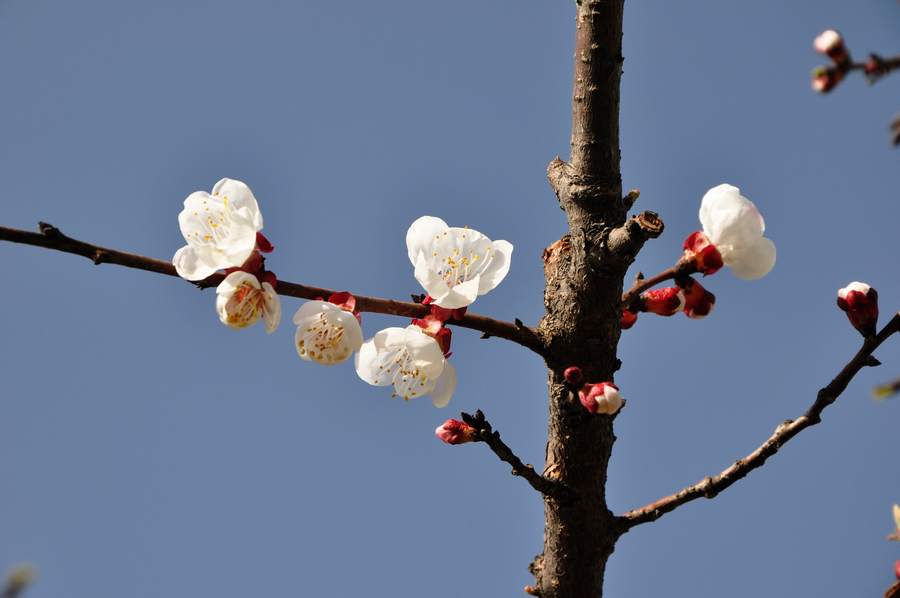 DSC_0195xz.jpg