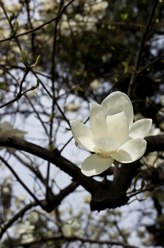 IMGP3301-3333.jpg