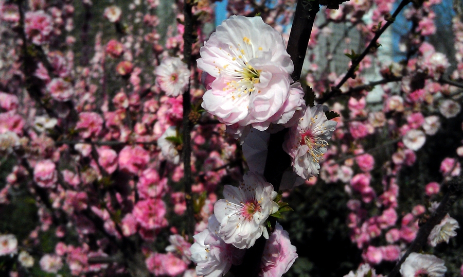 IMAG0163.jpg