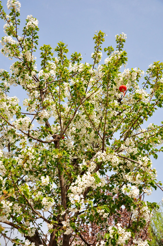 DSC_00201.jpg