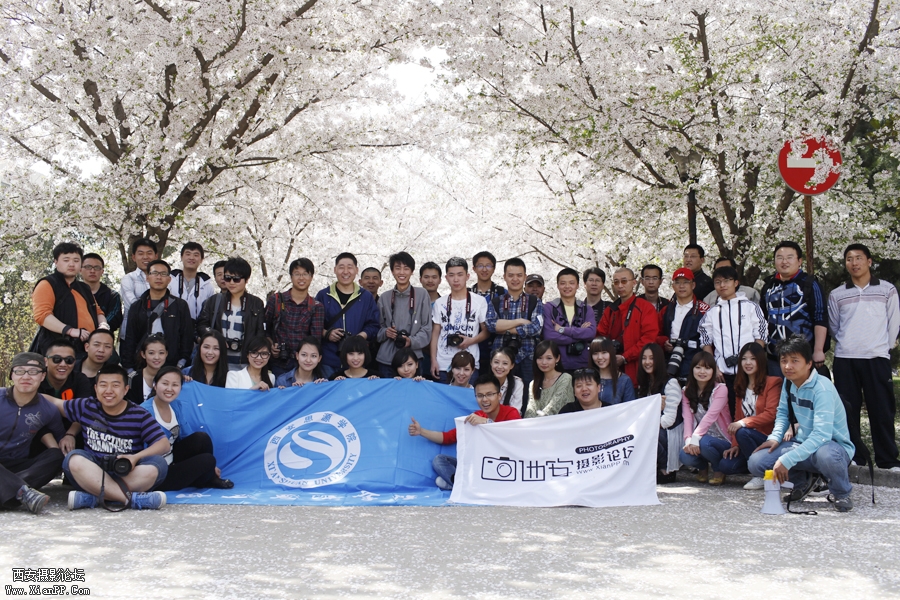 _MG_7339.JPG