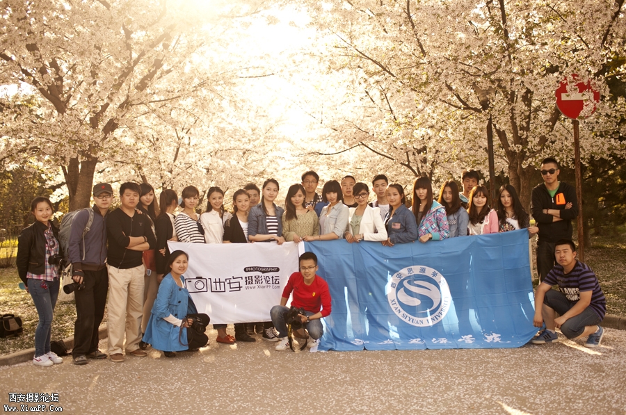 _MG_8019.jpg