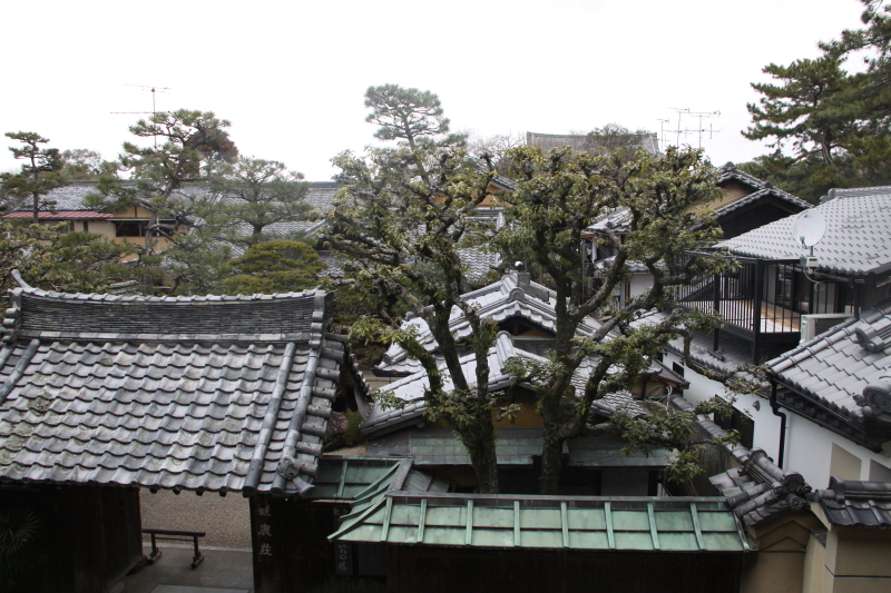 DPP_0035.JPG