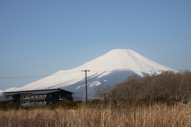 DPP_0144.JPG
