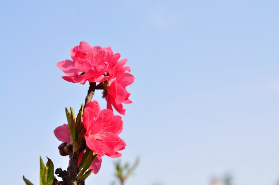 DSC_0053.jpg