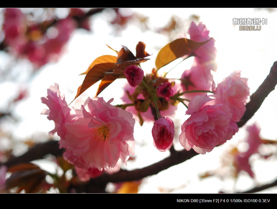 DSC_5672.jpg