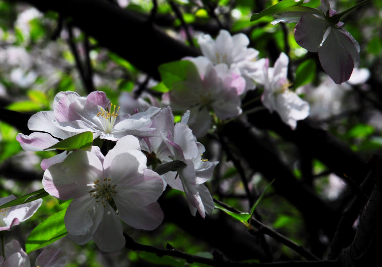 DSC_0245.jpg