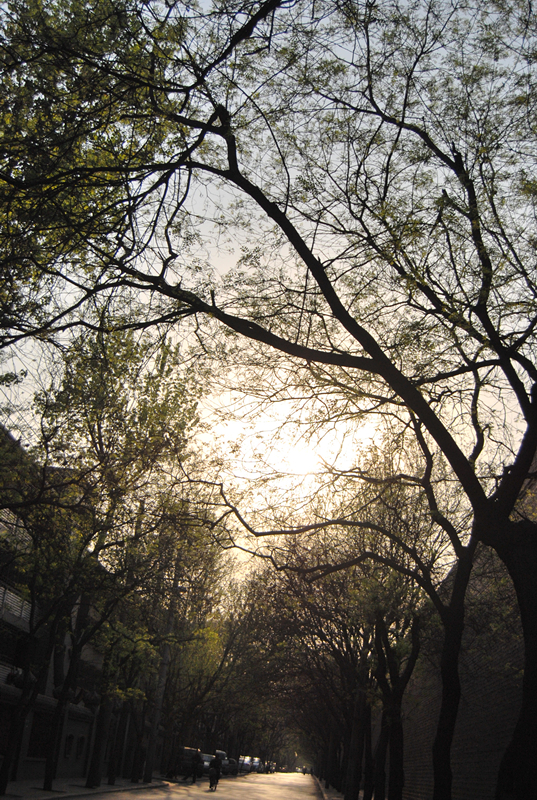 DSC_0892.jpg
