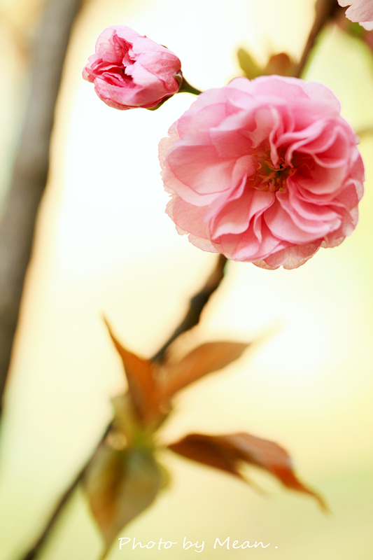 IMG_1845_副本.jpg