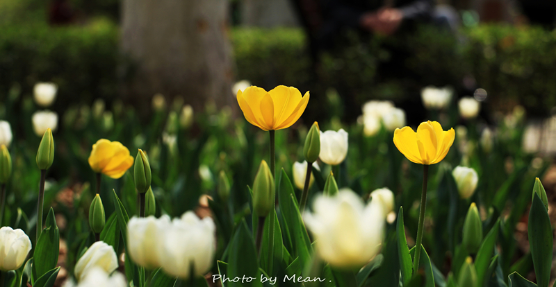 IMG_1928_副本.jpg