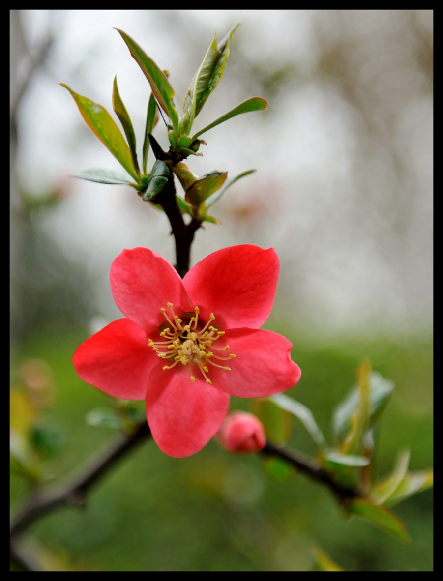 DSC_5907_01.JPG