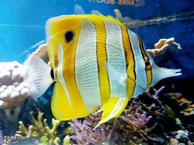 p109-3-673x504.jpg