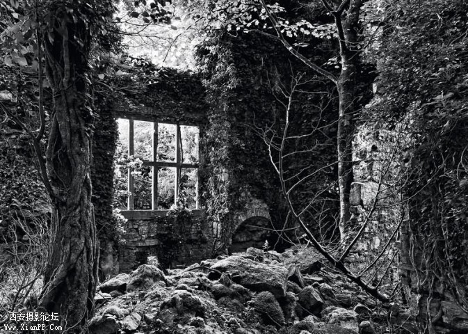 shijide03-673x480.jpg