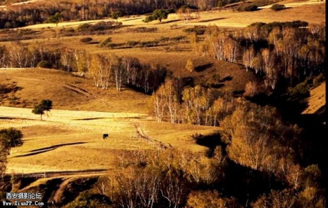 utian09.jpg